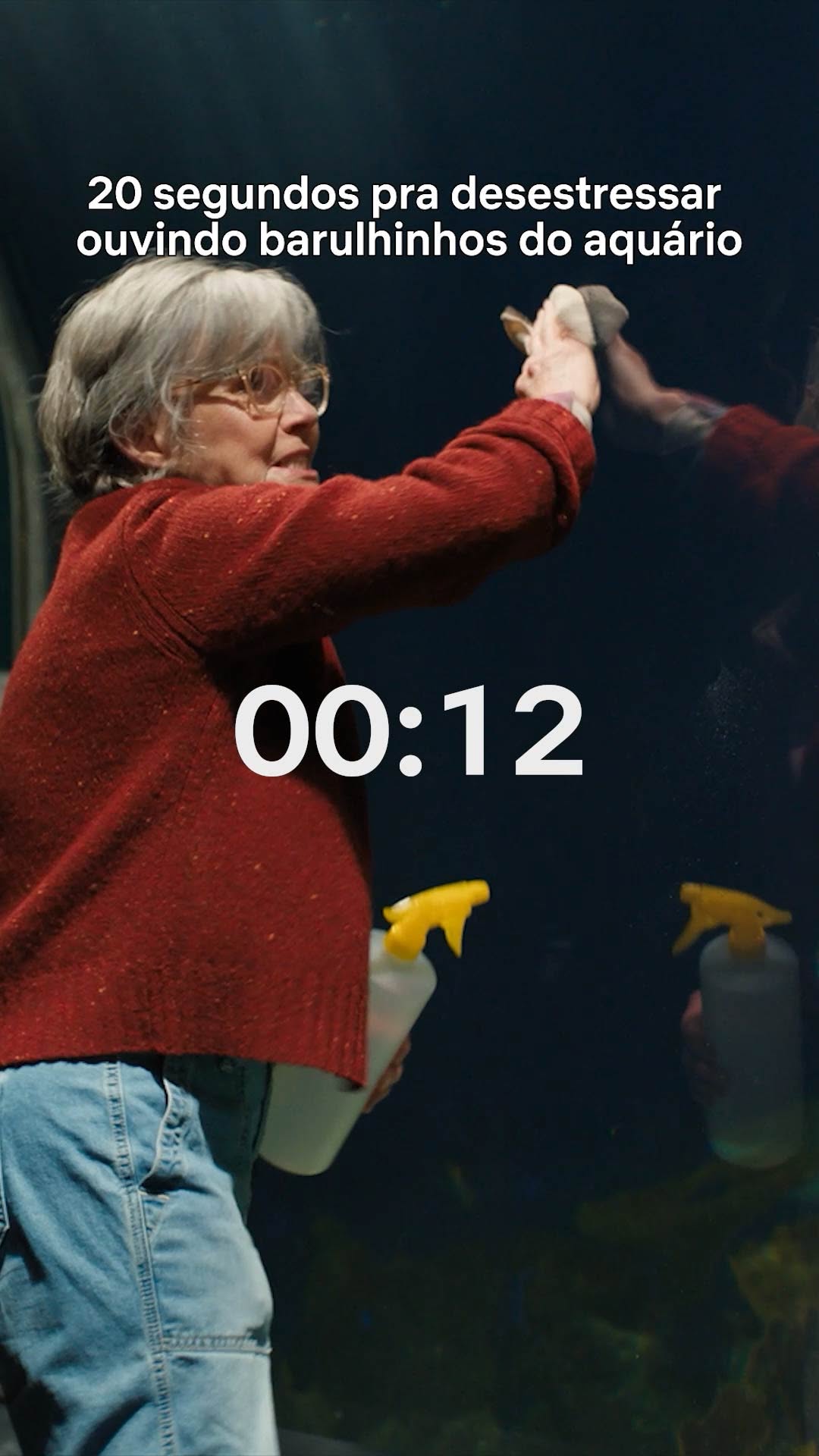 Netflix Brasil - social edit